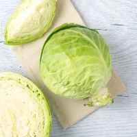 Cabbage पाट गोभी  - Net Qty: 1 pc, 30 Minute