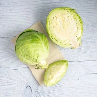 Cabbage पाट गोभी  - Net Qty: 1 pc, 30 Minute