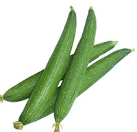 Ballia  Sponge Gourd (Torai) - Net Qty: 500, 10 Minutes