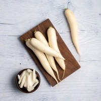 Ballia  Radish  White मूली Muli
 - Net Qty: 500 g