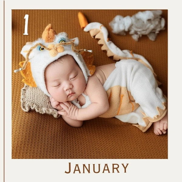 New Born Monthly Journey Fridge Magnet- 12 Photo Combo - NB-001