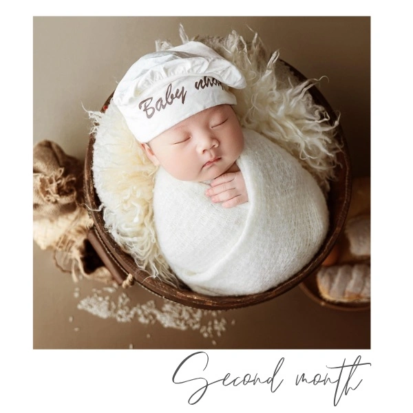 New Born Monthly Journey Fridge Magnet- 12 Photo Combo - NB-002