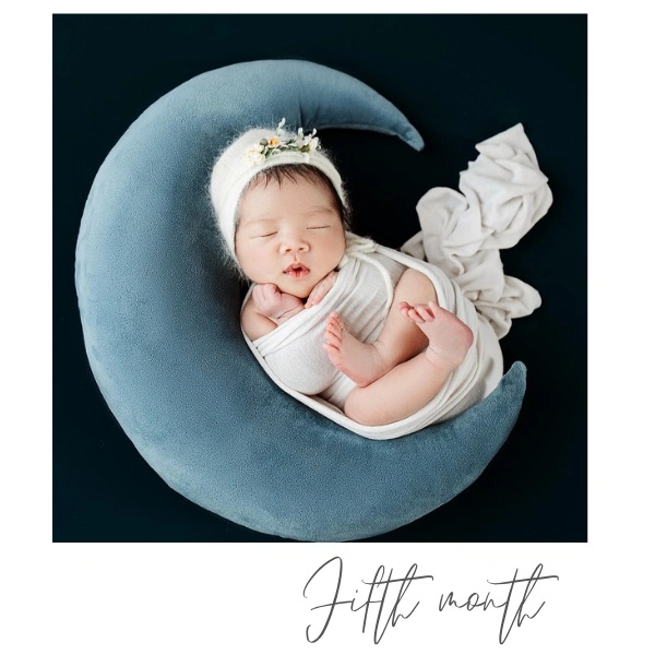 New Born Monthly Journey Fridge Magnet- 12 Photo Combo - NB-002