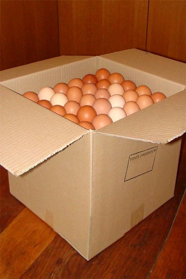 Eggs Box Eggs Box