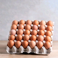 Eggs Box Eggs Box