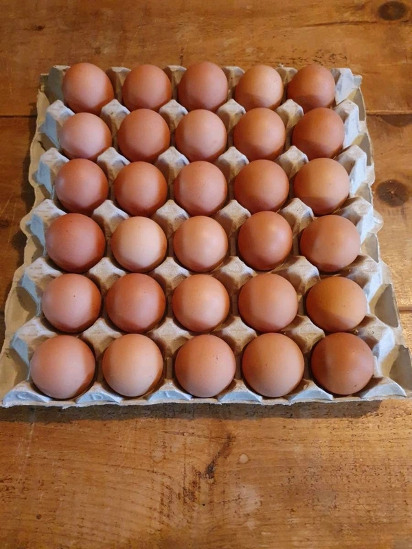 Eggs Box Eggs Box