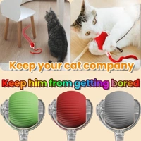 Cat Teaser Automatic Rolling Ball