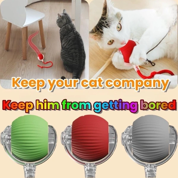 Cat Teaser Automatic Rolling Ball