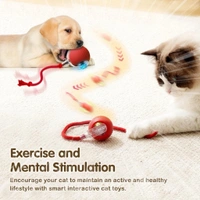 Cat Teaser Automatic Rolling Ball