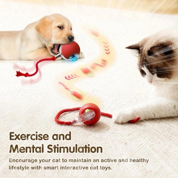 Cat Teaser Automatic Rolling Ball