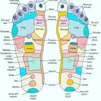 Acupressure reflexology socks