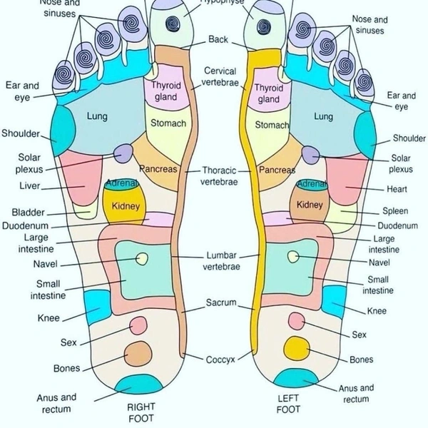 Acupressure reflexology socks