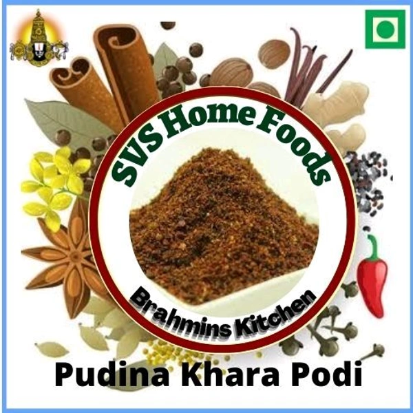 Pudina Karampodi [100 Gms]