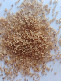  Red Boiled Ganji Akki - 5 KG