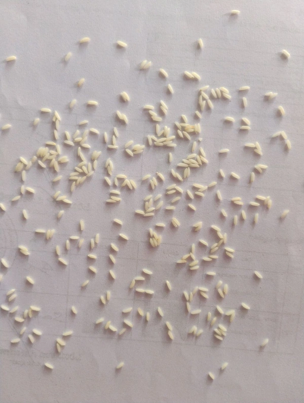 S black Kolam jeera - 26 KG