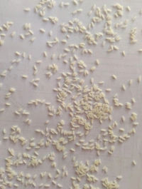 Fulltos sona masoori  - 26 KG