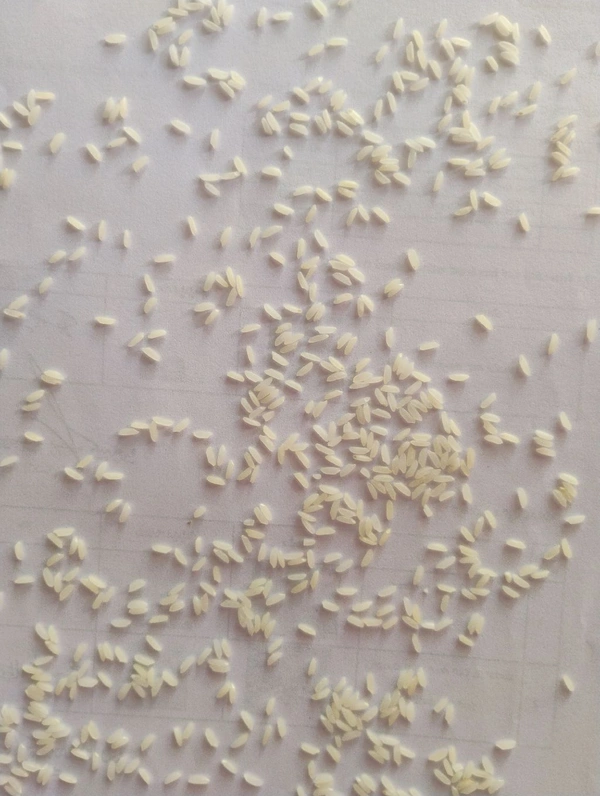 Fulltos sona masoori  - 26 KG