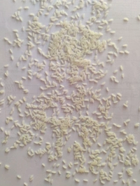 Waglal delight kolam jeera  - 10 KG