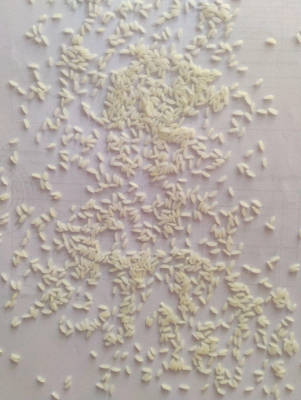 Waglal delight kolam jeera  - 10 KG