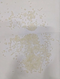 yellow bullet kolam jeera - 26 KG
