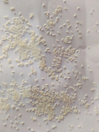 kitchen master sona Masoori - 26 KG