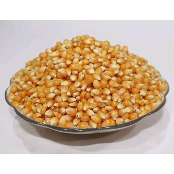 popcorn  - 1kg