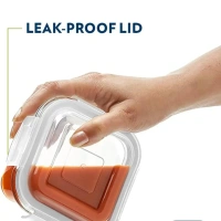 BOROSIL Borosil Gourmet Borosilicate Glass Lunchbox with Bag | 3 pc Set (320ml Each) + 1 - Base Variant