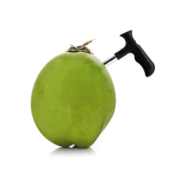 Coconut Hole Opener - Base Variant