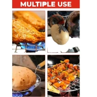 Papad Jali Roast, Paneer Grill, Make Roti, Barbeque - Square - Base Variant