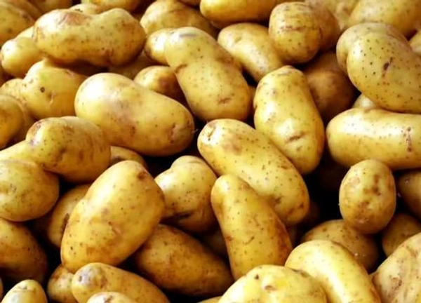 Patato 1kg