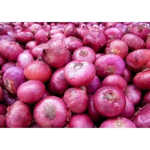 Onion 1 Kg