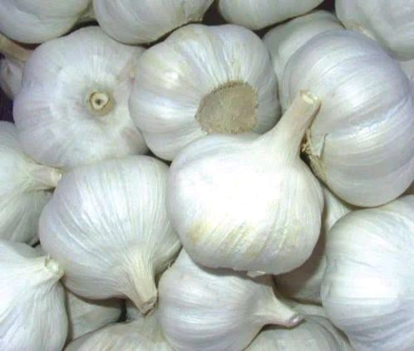 Garlic 1kg