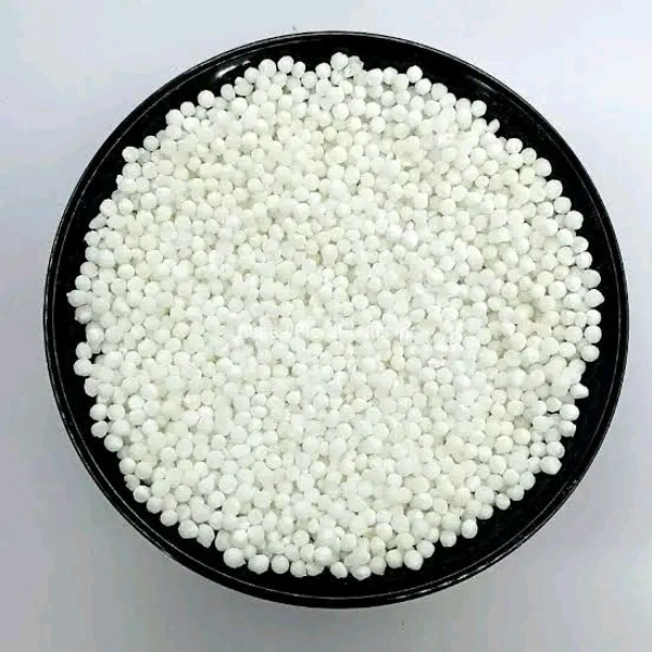 Sabudana | Sago 500