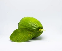 Gandharaaj Lebu - per piece