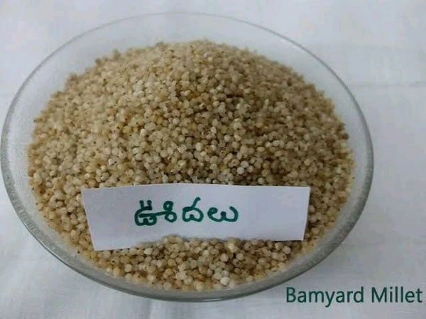 Udalu / Banyard Millets - 250gm