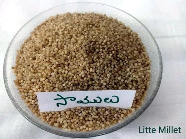 Samalu / Little Millets - 5kg