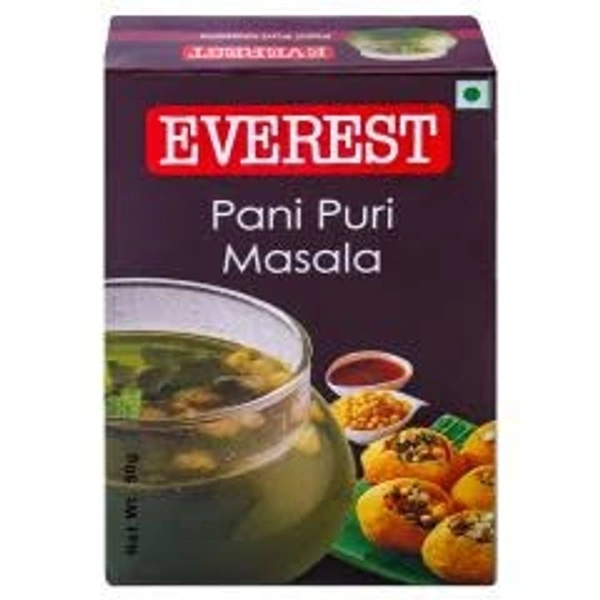 Everest Pani Puri Masala - 100g