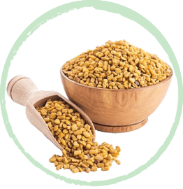 Fenugreek Seeds