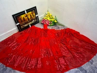 Fancy Saree Bollywood