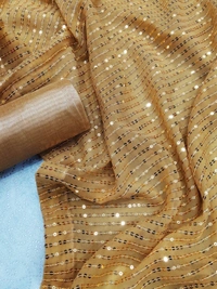 Bollywood Saree2