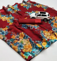 Budget Saree 1
