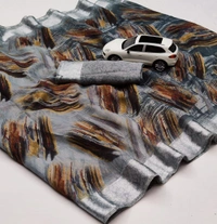 Budget Saree 1