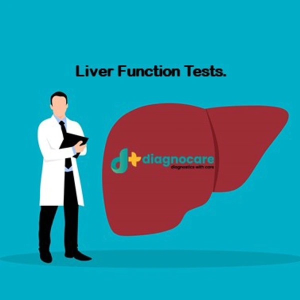 LFT Liver Function Test 