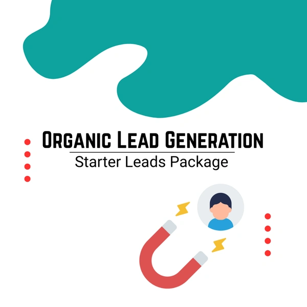 Organic Lead Generation Package