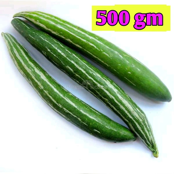  Snake Gourd চিচিঙ্গা  - Japanese Laurel