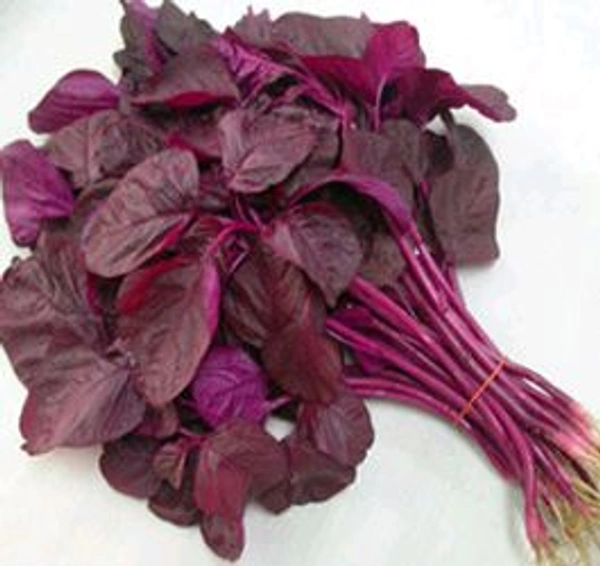 Red Amaranth লাল শাক 4 Pis - Red