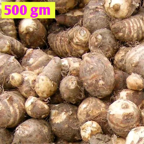  Taro Corms কচুর মুখি 