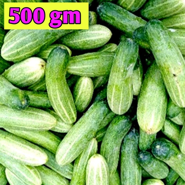 Cucumber শশা 