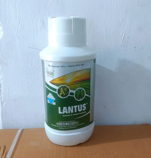 Oasis - ( Tebuconazole 10% + Sulphur 65% WG ) टेबुकोनाज़ोल 10% + सल्फर 65% WG  - 1kg