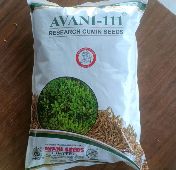 Avani 111 Cumin Seeds अवनि -111 (2 किलो की पैकिंग, 350 रुपये / किलो) - 2 किलो